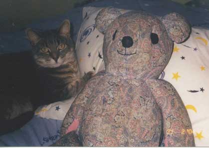 Princess the Cat with Bear.